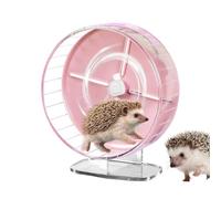 Roue de Hamster 10 Pouces - Spinner en Acrylique | Pas de courbure en arriè