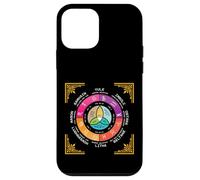 Roue de l'année Occulte Wicca Cercle Annuel Huit Sabbat Coque pour iPhone 12 Mini