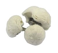 Roue de polissage préamer pour perceuse en flanelle blanche pour balai cône/colonne/champignon/tête de meulage en T avec poignée 1/4 pour collecteur/aluminium, (100MM+75MM+55MM), blanc, 3pcs