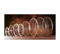 Gurpil 26´´ Front Wheel Argenté 8 x 100 mm