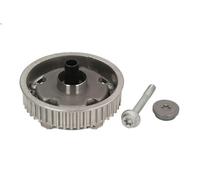 Roue dentée, arbre à came SWAG 40 94 6117 pour FIAT CROMA (194_) 1.8 2005-2011