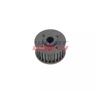Roue dentée, vilebrequin FAST FT45661