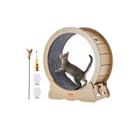 Roue d'Exercice Chat Grande Roue de Course Intérieur Avec Tapis Amovible Bois 75cm