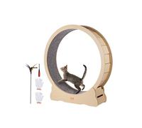 Roue d'Exercice Chat Grande Roue de Course Intérieur Tapis Roulant Amovible 132cm