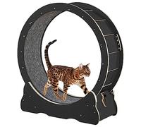 Roue d'exercice d'intérieur pour chat avec grattoir et frein pour perte de poids et santé