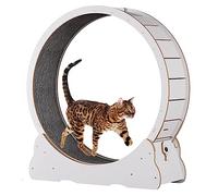 Roue d'exercice d'intérieur pour chat avec grattoir et frein pour perte de poids et santé