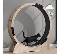 Roue d'exercice d'intérieur pour chat avec verrouillage de sécurité, rouleaux silencieux pour perte de poids et fitness, coussinets de préhension remplaçables inclus