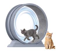 Roue d'exercice pour chat d'intérieur, grande roue de course pour chat de 31,5 pouces avec tapis amovible et verrou de sécurité, tapis roulant ultra-silencieux pour l'entraînement à la marche BLANC