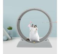 Roue d'exercice pour chat d'intérieur - Jouet d'entraînement de sécurité ultra silencieux - Roue d'exercice pour chat de petite, moyenne et grande taille - Appareil de perte de poids - Gris