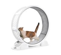 Roue d'exercice pour Chat D'intérieur, Roues d'exercice pour Chats De 104 Cm avec Podomètre,Tapis Roulant pour Chats, Griffoir avec Mécanisme De,D'exercices pour Grands
