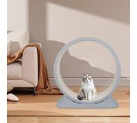 Roue d'exercice pour Chat D'intérieur, Roues d'exercice pour Chats de 80 cm avec Tapis, Tapis de Course, Appareil de Fitness pour Perdre du Poids (Gris)