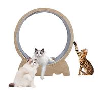 Roue d'exercice pour chat d'intérieur, tapis de course pour petits espaces intérieurs, diamètre de 122 cm, fonctionnement silencieux, convient pour chats jusqu'à 10 kg, jaune