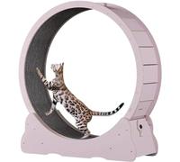 Roue d'exercice pour chat en bois massif avec serrures et moquette, machine de course pour perte de poids et exercice