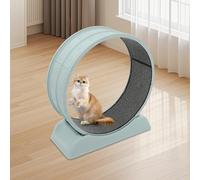 Roue d'exercice pour chat en bois - Tapis de course d'intérieur pour chats jusqu'à 10 kg - Roue super silencieuse avec tapis amovible pour perdre du poids et favoriser la santé (80 cm, bleu)