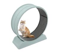 Roue d'exercice pour chat - Roue silencieuse pour chat - Avec boucle de sécurité - Tapis de course d'intérieur avec tapis pour courir et griffer - Diamètre : 80 cm - Bleu