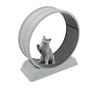 Roue d'exercice pour chat - Roue silencieuse pour chat - Avec boucle de sécurité - Tapis de course d'intérieur avec tapis pour courir et griffer - Diamètre : 80 cm - Gris