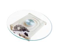 Roue d'exercice pour petits animaux - 25 cm - Toupie d'exercice silencieuse - Accessoire de cage pour chinchilla - Jouet d'habitat durable - Tapis de santé silencieux - Activité pour animaux de