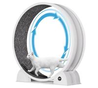 Roue d'exercice silencieuse pour chat (avec compteur de pas) - Roue d'exercice robuste en ABS spécialement conçue pour les chats d'intérieur, avec tapis amovible, Bénéfique pour le fitness et la santé