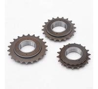 Roue libre en acier 16 18 20 dents pour vélo à vitesse unique 35 mm Dimensions 1/2" x 1/8" Compatible avec pignon fixe et vélo de route classique (20T)