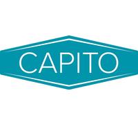 Roue pneumatique Capito ( 4000818169 ) Roue-Ø 400 mm Largeur de roue 100 mm