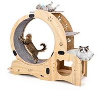 Roue pour chat 6 en 1, grande roue de fitness pour chat avec roues silencieuses, jouet pour chat domestique, roue d'exercice pour chat