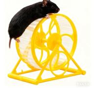 Roue pour hamster - Décoration pour le divertissement des animaux et l'occupation des animaux - Petite roue de mouvement comme jouet - Convient pour hamster doré, chinchilla, lapin, hérisson, souris