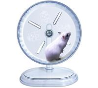 Roue silencieuse pour hamster - Super silencieuse - Roue d'exercice pour hamster - Support réglable - Pour souris et petits animaux (blanc, diamètre : 18 cm)