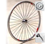 Roue vélo de route 700 avec dynamo moyeu SONdelux - Argent / 28" (622-14mm)