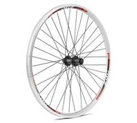 Gurpil Zac Black 26´´ Tubeless Mtb Rear Wheel Blanc 9 x 135 mm / Shimano/Sram HG Silver