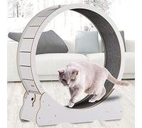 Roues d'entraînement pour chats : jouet interactif pour les petits animaux, encourage le jeu actif et la gestion du poids