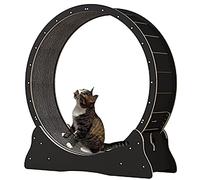 Roues d'entraînement pour chats : jouet interactif pour les petits animaux, encourage le jeu actif et la gestion du poids