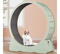 Roues d'entraînement pour chats : jouet interactif pour les petits animaux, encourage le jeu actif et la gestion du poids