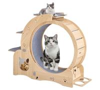Roues d'exercice pour Chats avec Roue d'exercice Ilent, Tapis Amovible, échelles d'escalade et Bols pour la Marche, la Course et l'entraînement. Tapis Roulant pour Chats d'intérieur.