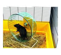 Roues pour hamster Nobby Pet Rolly Giant Vert 27,5 cm