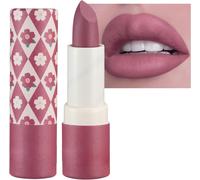 Rouge A Levre Mat Longue Tenue,Mat Rouge À Lèvres Nude Ensemble Velouté Longue Durée Antiadhésif Tasse,Rouge À Lèvres Imperméable Et Durable Hydratant Rouge À Lèvres Brillant À Lèvres