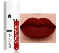 Rouge à Lèvres Liquide Mate, Rouge a Levre Longue Tenue, Couleur Intense Lip Tint, Fini Mat, Formule Vegan, Sans transfert, Cadeau pour Femme (17, 2.5ml)