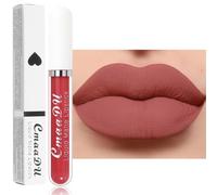 Rouge à Lèvres Liquide Mate, Rouge a Levre Longue Tenue, Couleur Intense Lip Tint, Fini Mat, Formule Vegan, Sans transfert, Cadeau pour Femme (05, 2.5ml)