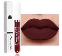 Rouge à Lèvres Liquide Mate, Rouge a Levre Longue Tenue, Couleur Intense Lip Tint, Fini Mat, Formule Vegan, Sans transfert, Cadeau pour Femme (18, 2.5ml)