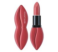 Rouge à lèvres - Tenue 24 heures - Imperméable - Velours - Brillant à lèvres coloré - Cadeau (F, taille unique)