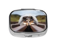 Rough Collie Bokeh Railway Dogs Pets Rugh, Meta Pilulier à 2 compartiments, organiseur portable