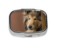 Rough Collie Lassie Boîte à médicaments à 2 compartiments pour chiens et animaux domestiques