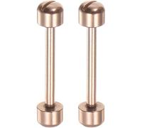 ROUHO 2 Pièces Montre Tube Vis Tiges Connectées Set, Acier Inoxydable Pins Oeillet Montre Accessoires Réparation-Or Rose 22mm