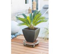 Roule pot Metalwood Diam 35cm