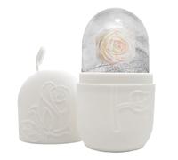 Rouleau de glace pour le visage - Masseur froid portable, outil apaisant pour raffermir la peau, appareil de beauté rafraîchissant | Accueil Voyage Visage Relaxation Spa Soins de la peau Routine Acces