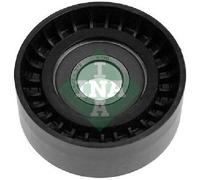 Rouleau De Guidage INA Pour Courroie À Nervures 532 0516 10 Pour Alfa Romeo