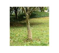 Rouleau de jute 0,25x25 m 100 % jute 200 g m²