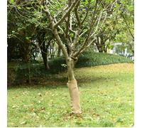 vidaXL Rouleau de jute 0,5 x 15 m 100 % jute 200 g/m²