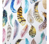Rouleau de papier cadeau 70 cm x 2 m Motif : plumes pastel multicolores