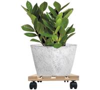 5X Roulettes À Plantes Carrées 30Cm 120 Kg Sous-Pot De Fleurs Chariot
