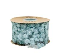 Rouleau de ruban en dentelle brodée, Ruban de dentelle festonnée à motif marguerite, multicolore, 5,5-7 cm, 10-50 yards(7cm Lake Blue,10 yards)